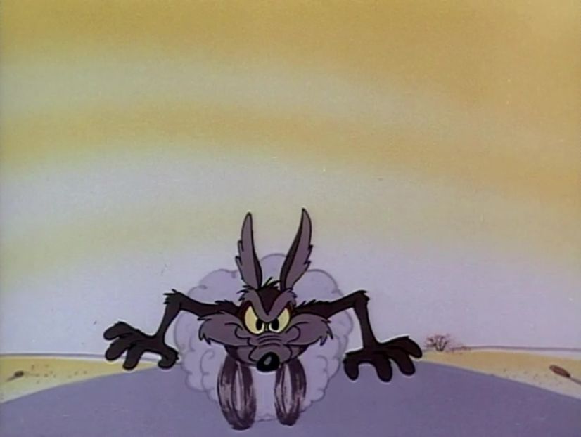 Road Runner and Wile E Coyote - Road Runner and Wile E Coyote