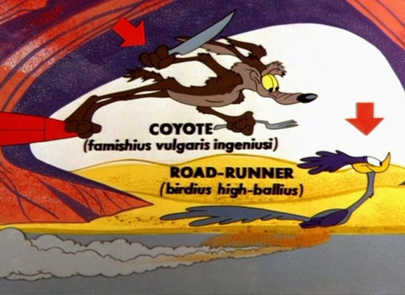 Road Runner and Wile E Coyote - Road Runner and Wile E Coyote