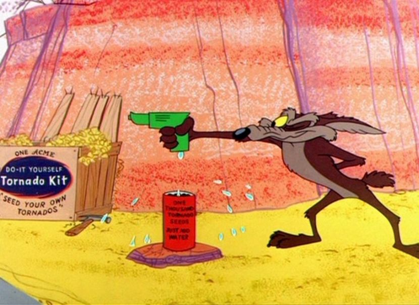 Road Runner and Wile E Coyote - Road Runner and Wile E Coyote