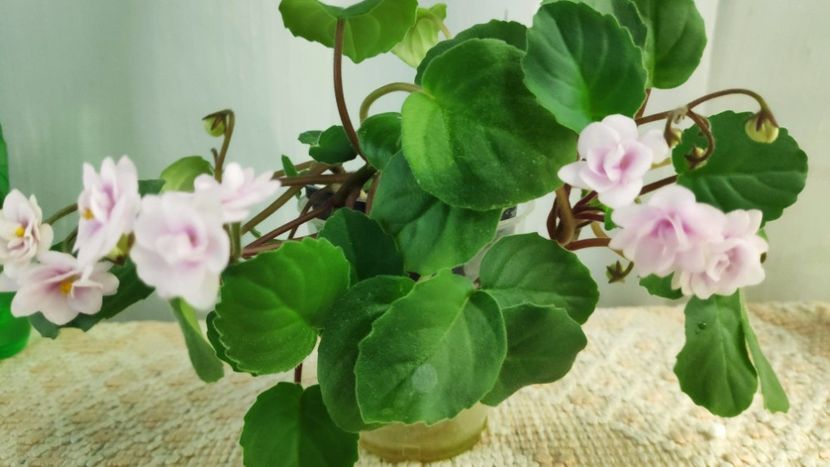 21 nov - Rob s Vanilla trail