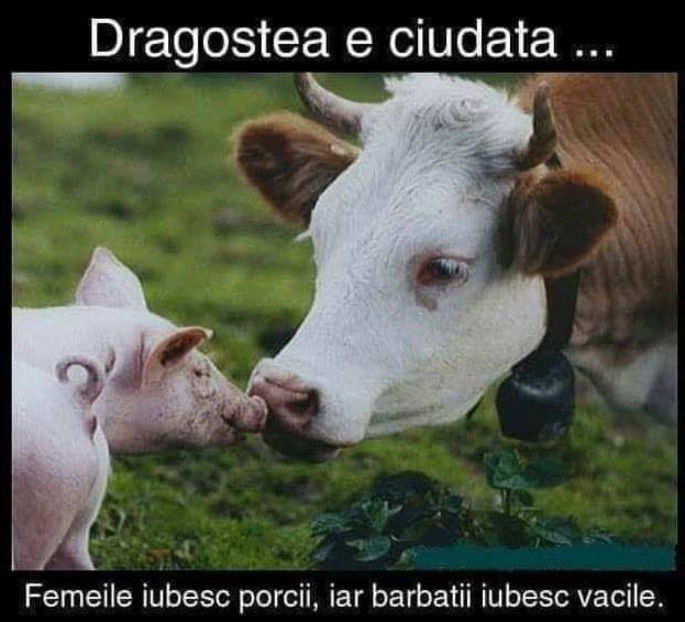  - Diverse