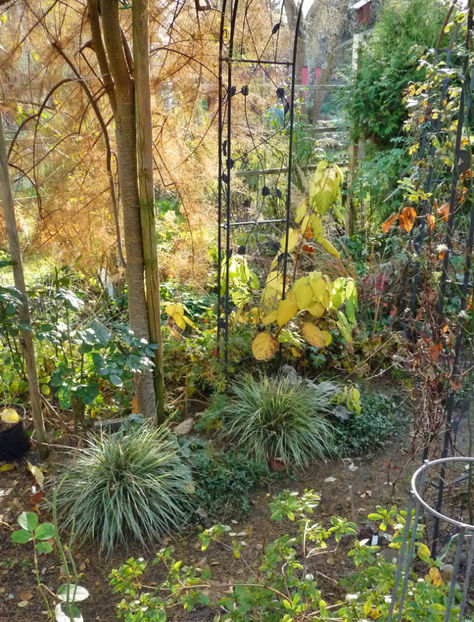  - 2020 - 03 - Toamna