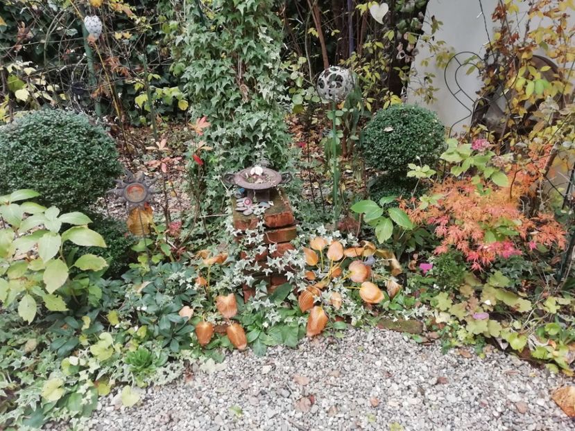  - Grădina 2020 continuare 2