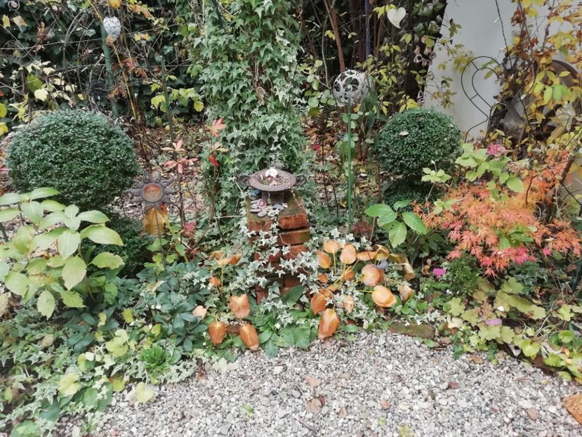  - Grădina 2020 continuare 2