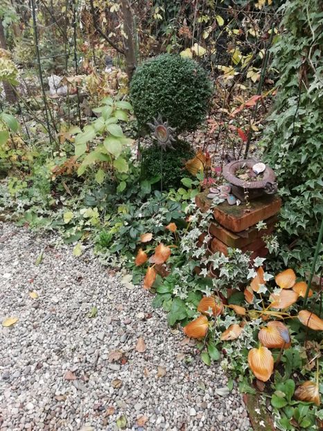  - Grădina 2020 continuare 2