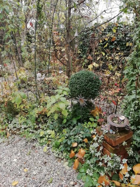  - Grădina 2020 continuare 2