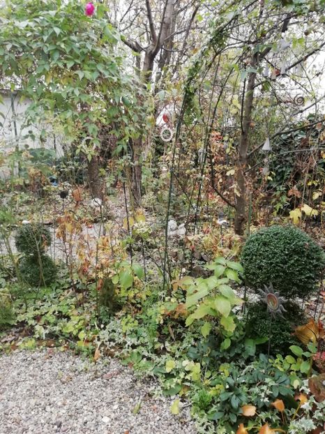  - Grădina 2020 continuare 2