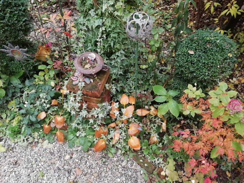  - Grădina 2020 continuare 2