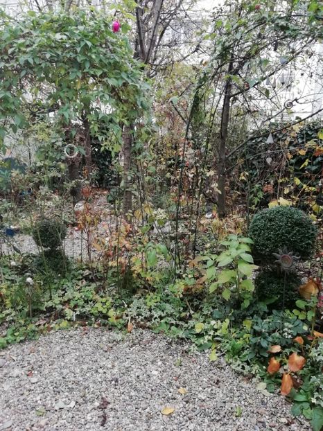  - Grădina 2020 continuare 2