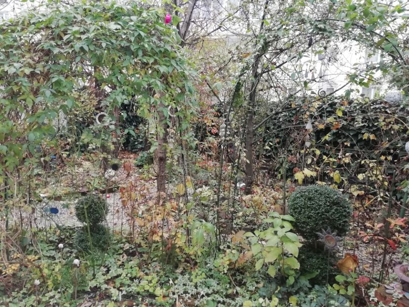  - Grădina 2020 continuare 2