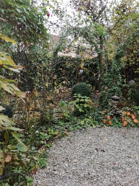  - Grădina 2020 continuare 2