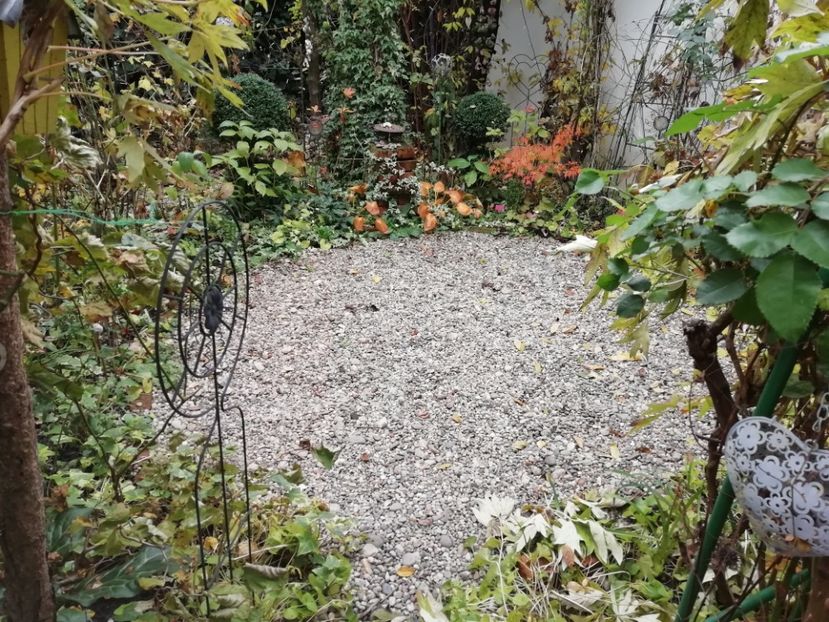  - Grădina 2020 continuare 2