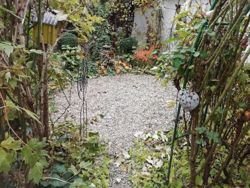  - Grădina 2020 continuare 2