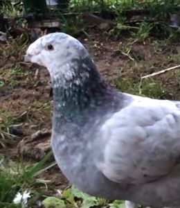 M2019(1an) - 00-CONTACT