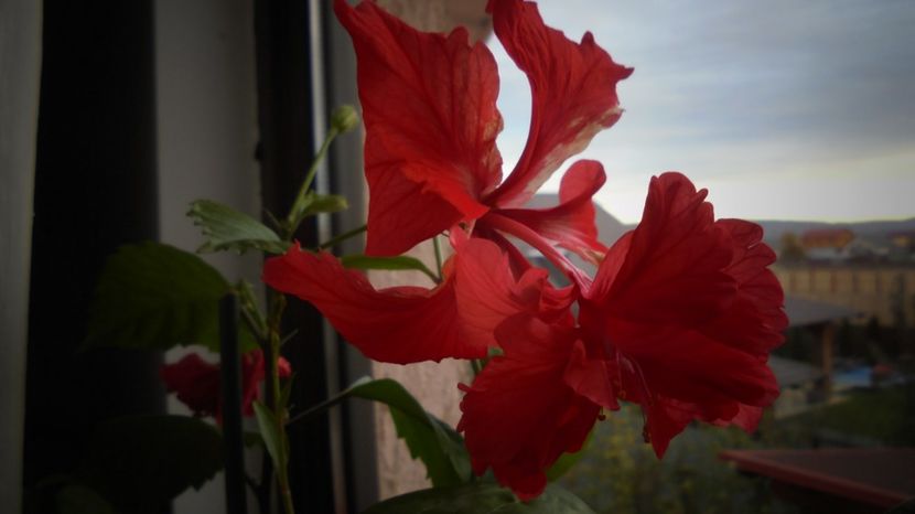 Uitasem cat e de frumos...multumiri! - Culori 2020