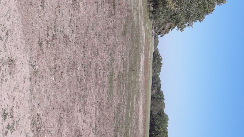  - Concediu 2020 delta- Sulina