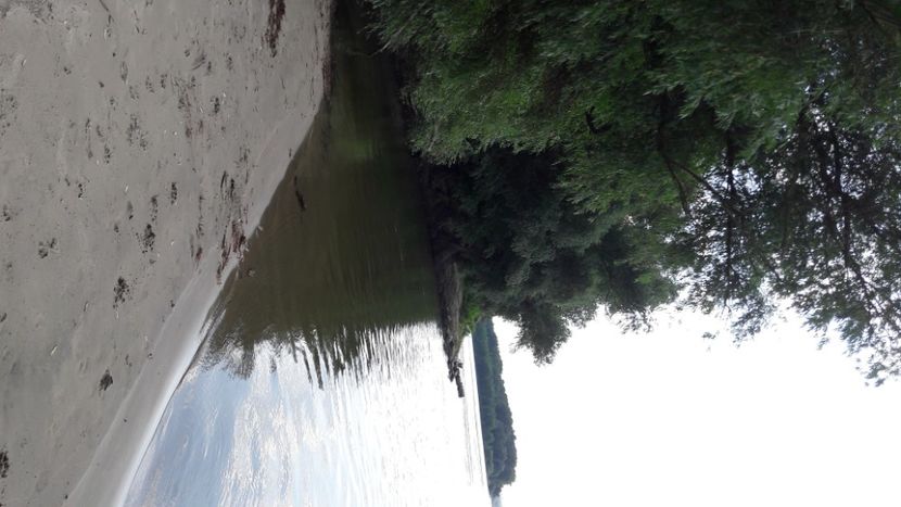  - WK august 2020 Pacuiu lui Soare