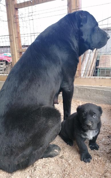 E7CF8897-F12E-4B5A-A3DA-E9B22438240A - Afeona