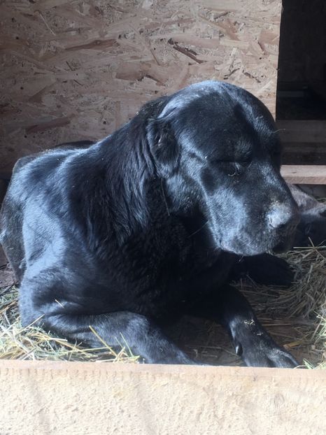 5D97281B-F0DB-43F9-BF58-3E75F4AC47CA - Afeona