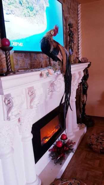  - GAINI ORNAMENT