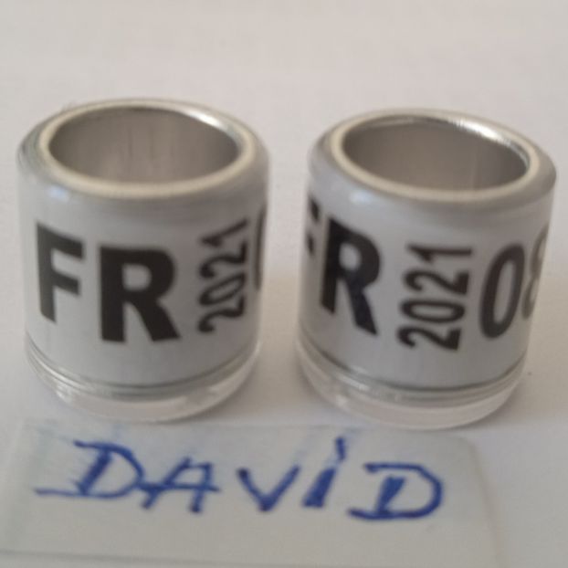 2021-FR 8mm. fara talon...-1 leu - Inele 2014