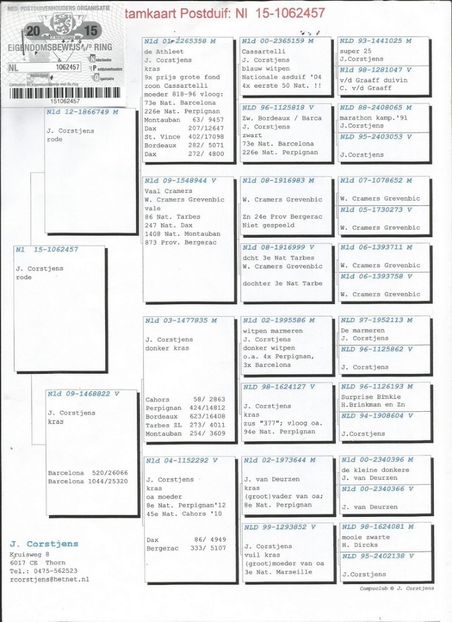 57ped - Porumbei super top 2020 achizitii