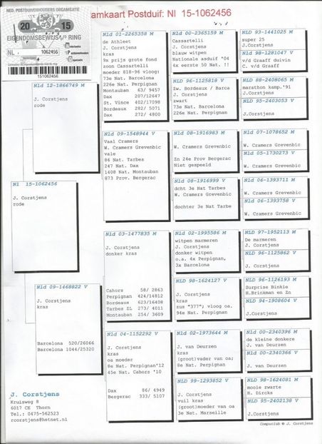 56ped - Porumbei super top 2020 achizitii