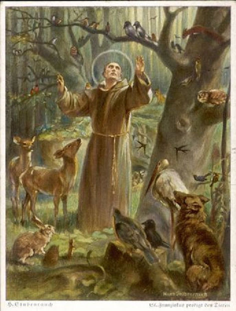 Sf. Francisc - 4 octombrie - Sfinți ocrotitori ai animalelor și ai păsărilor