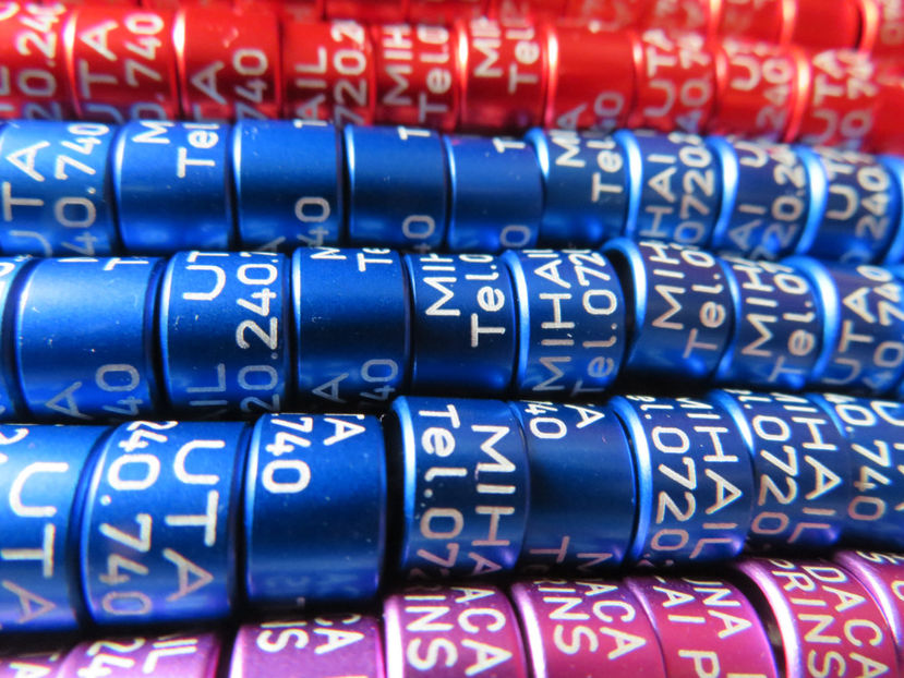  - Inele personalizate