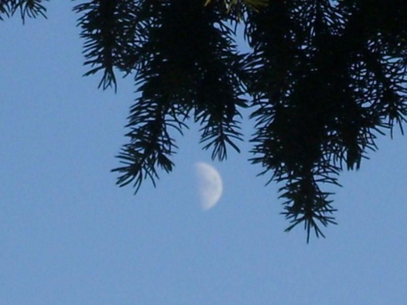 Luna in crestere in Pesti - Luna - Soarele si norii - 2