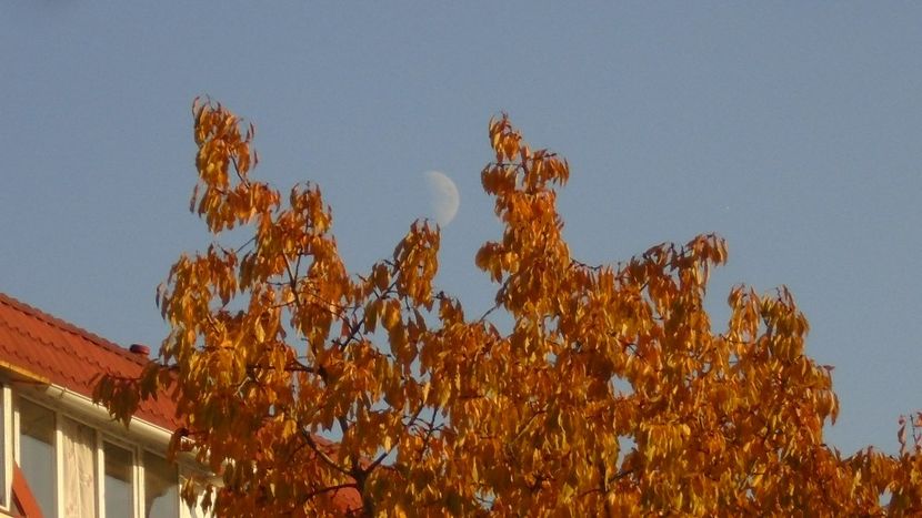 Luna in crestere in Pesti - Luna - Soarele si norii - 2