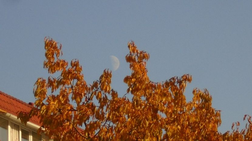 Luna in crestere in Pesti - Luna - Soarele si norii - 2