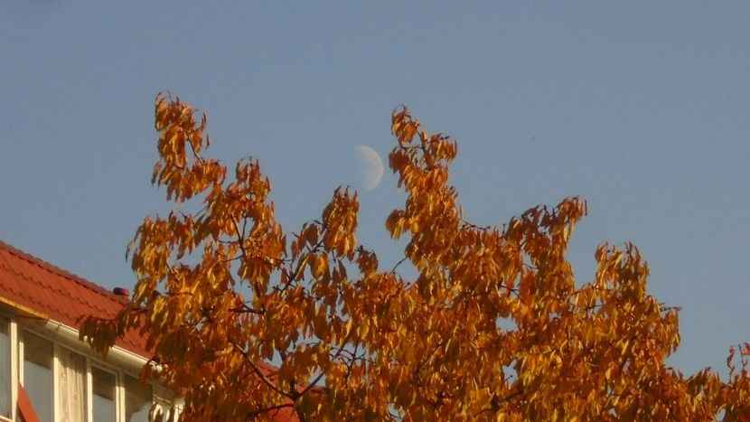 Luna in crestere in Pesti - Luna - Soarele si norii - 2