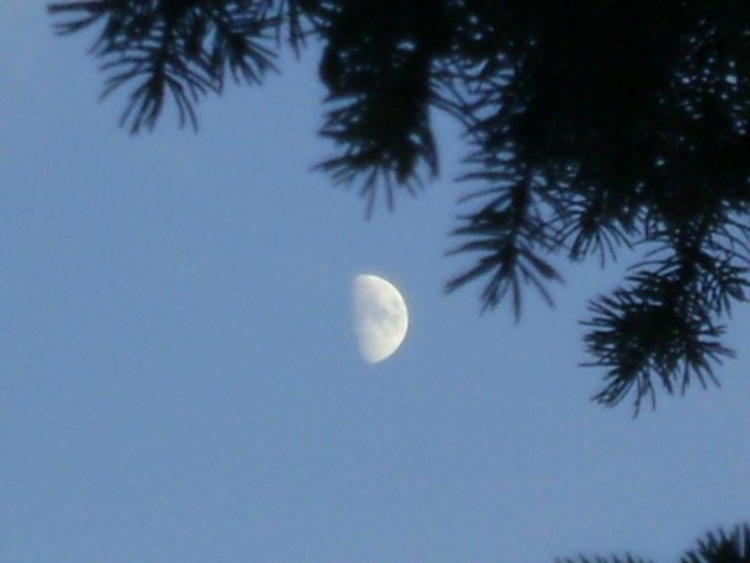 Primul patrar al Lunii in Pesti - Luna - Soarele si norii - 2