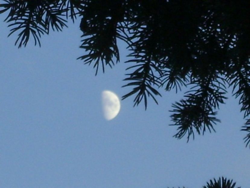 Primul patrar al Lunii in Pesti - Luna - Soarele si norii - 2