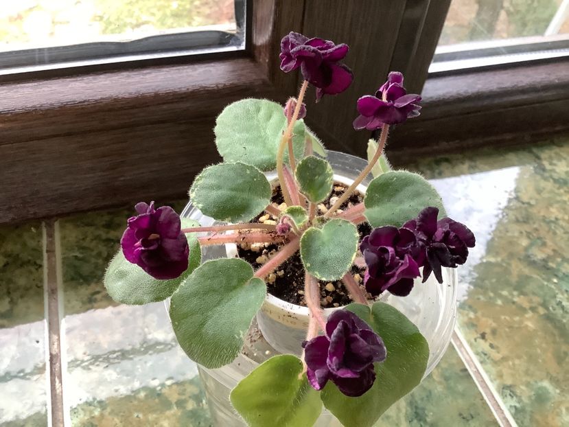  - Dark Night of The Soul