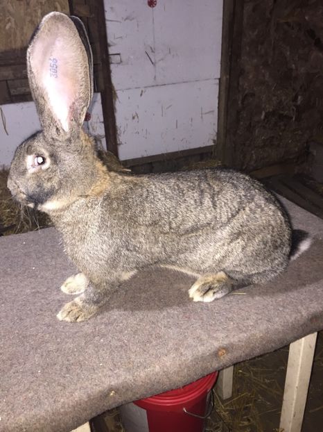 05D89BAD-3991-456E-B5C3-E5615C448EB4 - RO 8-3056