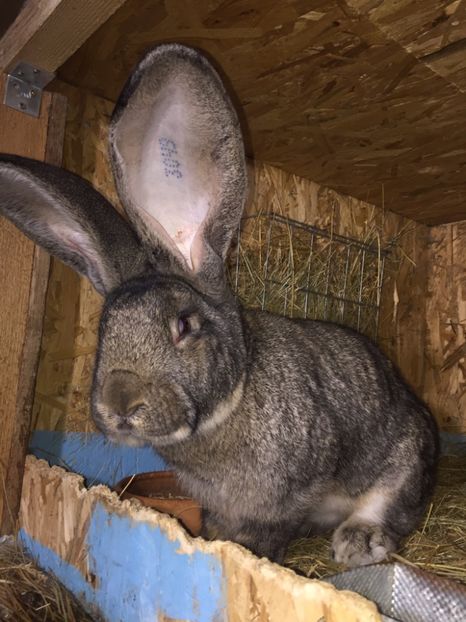 82B197F3-1C72-40F3-B8B5-670349247D57 - RO 8-3049