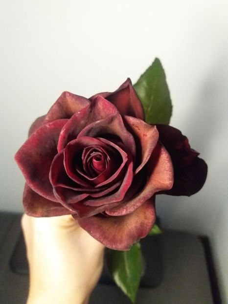  - Trandafir de buchet Rosu