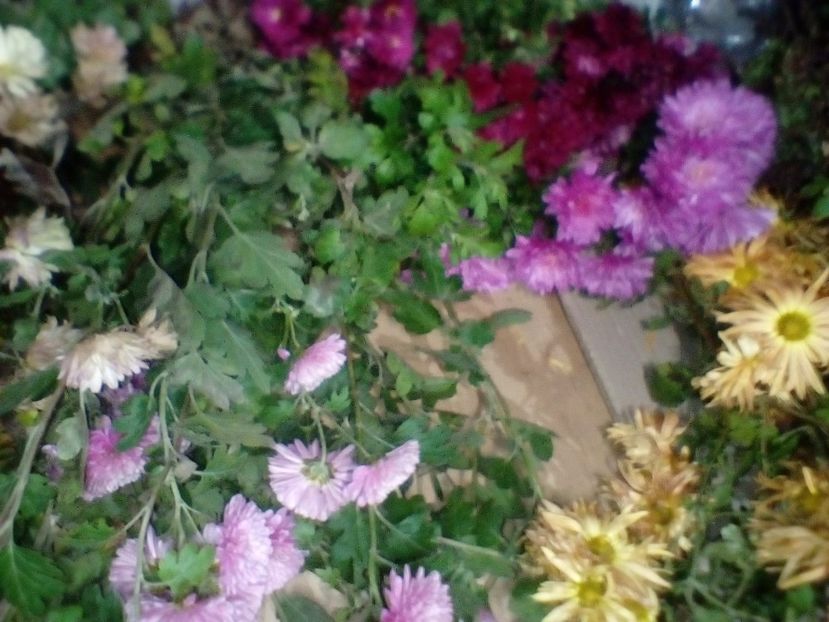 IMG-20201117-WA0020 - w Produse livrate