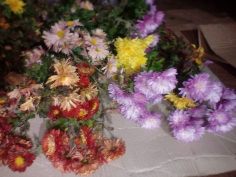 IMG-20201117-WA0012 - w Produse livrate