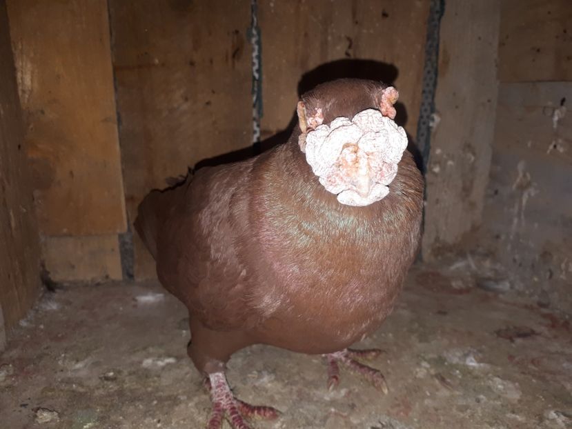  - 1 _contact - 0743410333