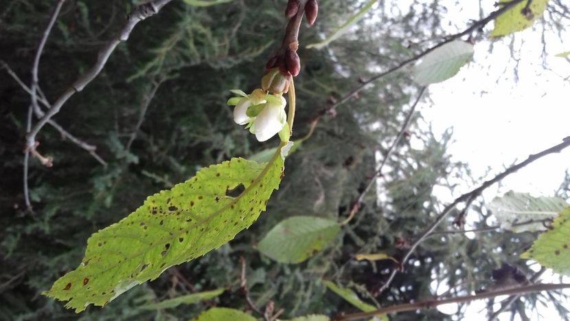 28 11 2020 - Noiembrie   25 09