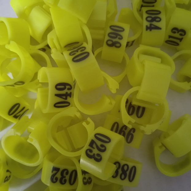 Cleme numar fi8 x 7mm....-30 bani - Inele porumbei 2022 de vanzare