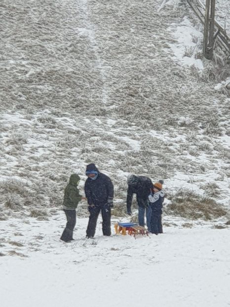 57e22f13-8411-40cf-9314-895ee4cd7326 - 2020 MARIȘEL LA SĂNIUȘ 29 nov