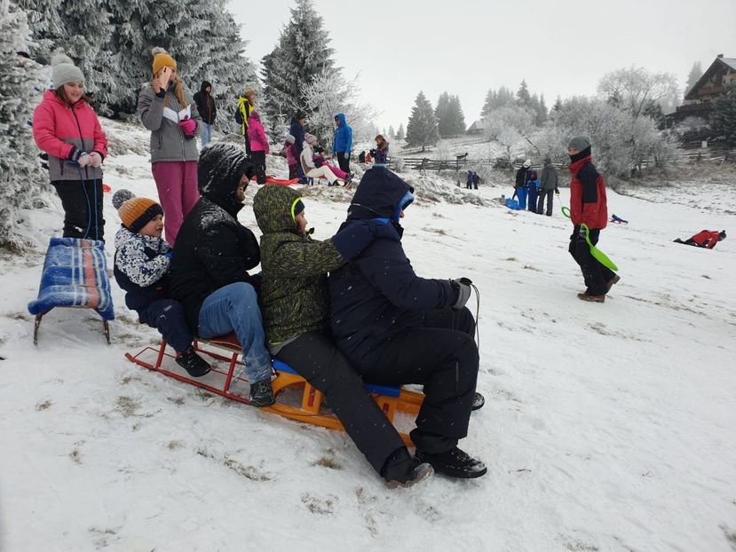 85ca053f-c7f8-4651-aa52-3e99afbb1ae5 - 2020 MARIȘEL LA SĂNIUȘ 29 nov