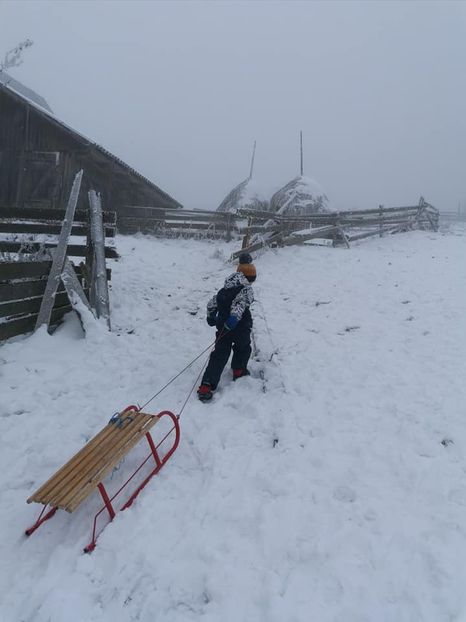 m3 - 2020 MARIȘEL LA SĂNIUȘ 29 nov