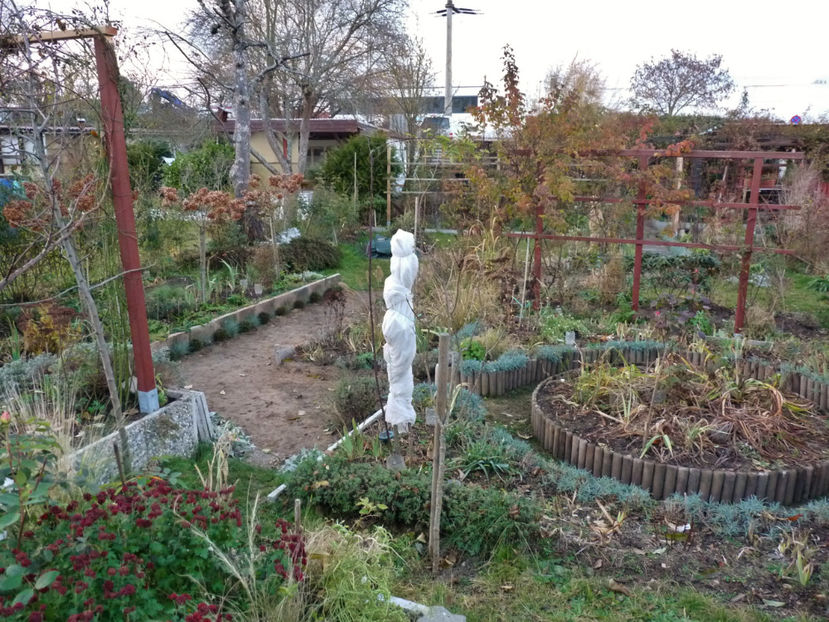  - 2020 - 04 - 2021 - 00 - Iarna