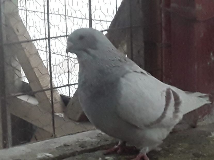 IMG-20201130-WA0003 - CONTACT