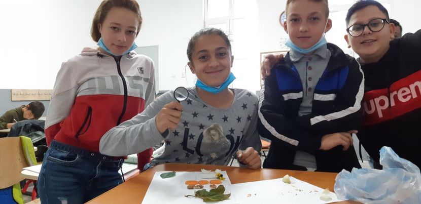  - 2020-21 Scoala efectiv 2 luni covid